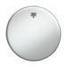 PELLE REMO AMBASSADOR  14