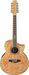 IBANEZ EW 2012 ASE