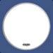 PELLE EVANS G1 B13 SABBIATA
