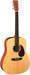 MARTIN DX 1 ELETTRIFICATA