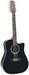 TAKAMINE EG 531-12