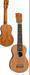 MAHALO UKULELE UM 2019