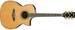 IBANEZ ACS 1150 ECE NT