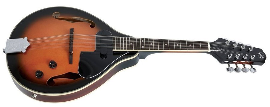 VGS A 1 SELECT MANDOLINO AMPLIFICATO