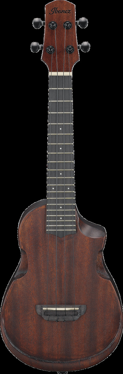 IBANEZ AUC14OVL