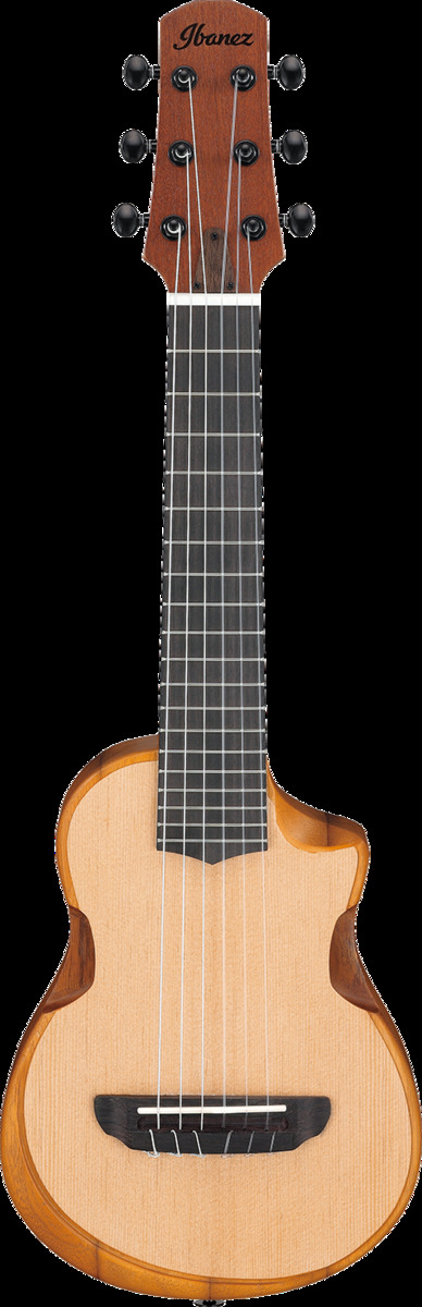 IBANEZ AUP10NOPN GUITALELE