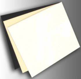 FOGLIO PER BATTIPENNA BIANCO PERLATO