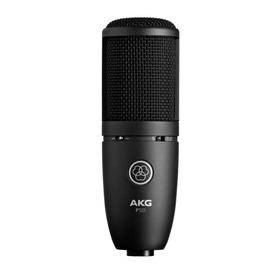 AKG P 120