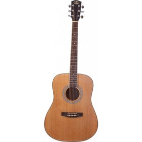 FOREST SD 16 DREADNOUGHT