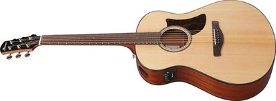 IBANEZ AAM100ENT