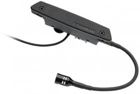 Fishman Rare Earth Mic Blend Active Soundhole Pickup (PRO-REP-103)