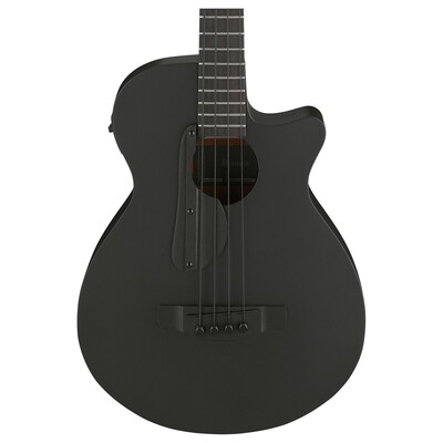 IBANEZ AEGB420BOT