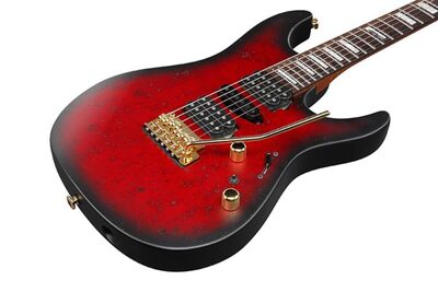 IBANEZ KIKO300RRT SIGNATURE KIKO