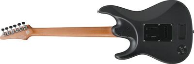 IBANEZ BER10 SIGNATURE BERNTH