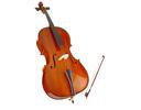 VIOLONCELLI